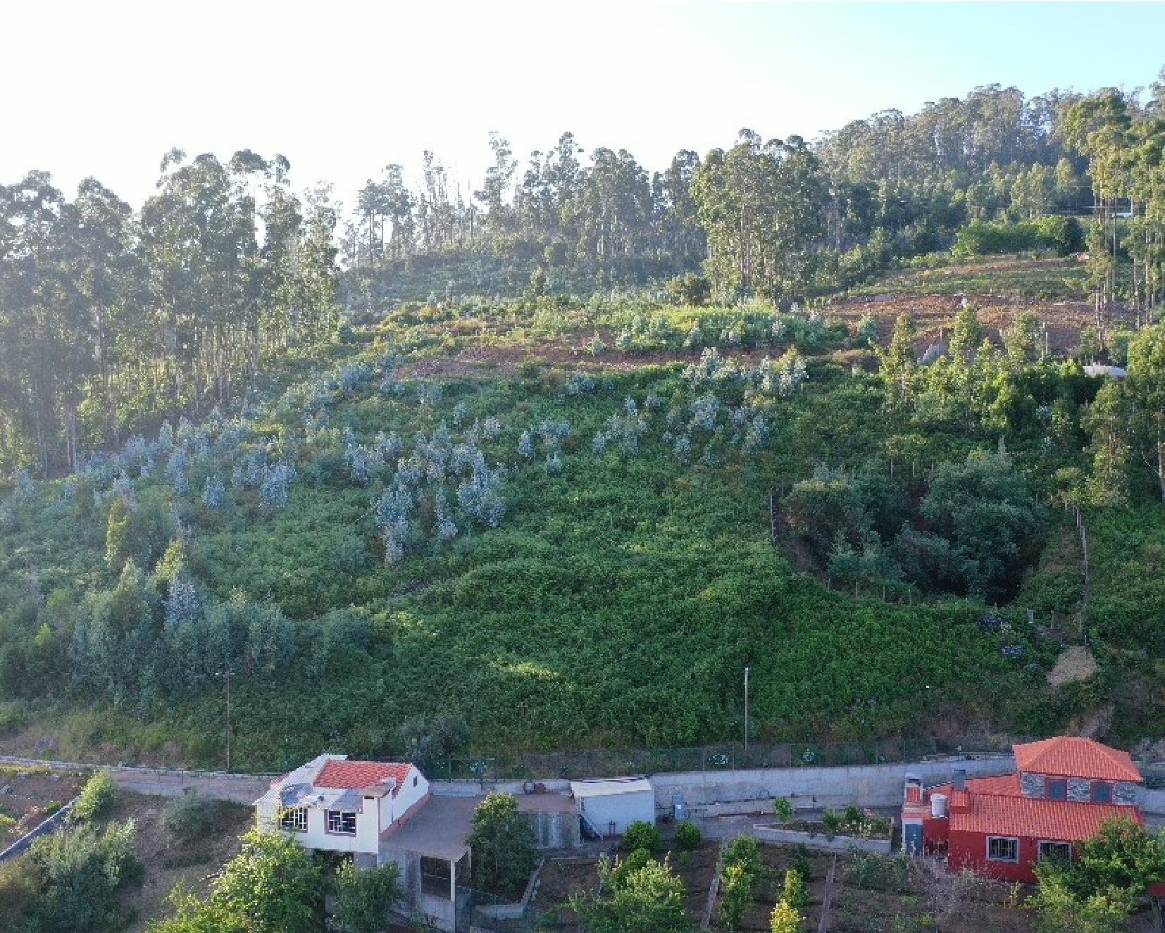 Terreno com 15 100m2 com projecto turístico rural na Ponta de Sol, Ilha da Madeira